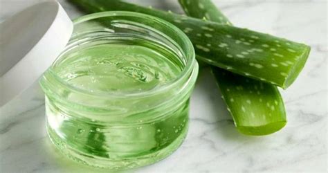 Aloe Vera ile Ciltteki Yanıkları Giderme